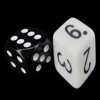 The Dice Lab Opaque White Slant D6 Dice